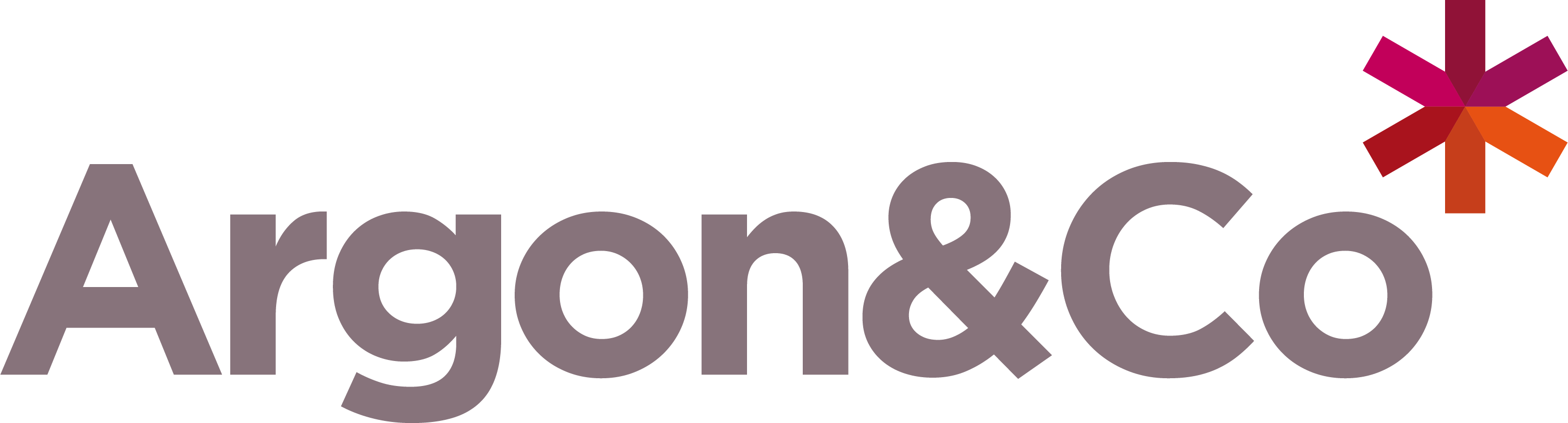 Argon & Co